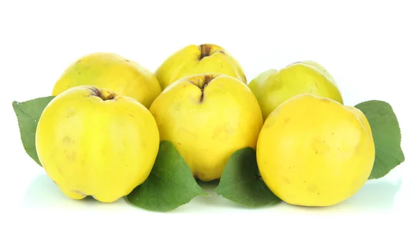 달콤한 quinces 흰색 절연 — 스톡 사진