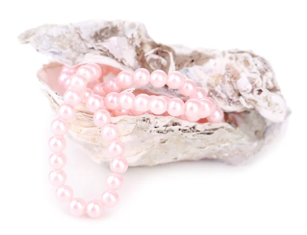 Shell with pearls, isolated on white — Stock Photo, Image