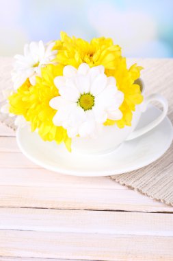 güzel kasımpatı çiçekleri açık renkli tablo üzerinde Kupası