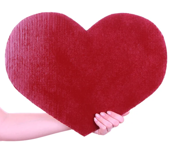 Vrouw knuffels kat白で隔離される大きな赤いハートを持っている手します。 — ストック写真