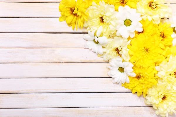Beautiful chrysanthemum flowers on wooden background — Stock Photo, Image