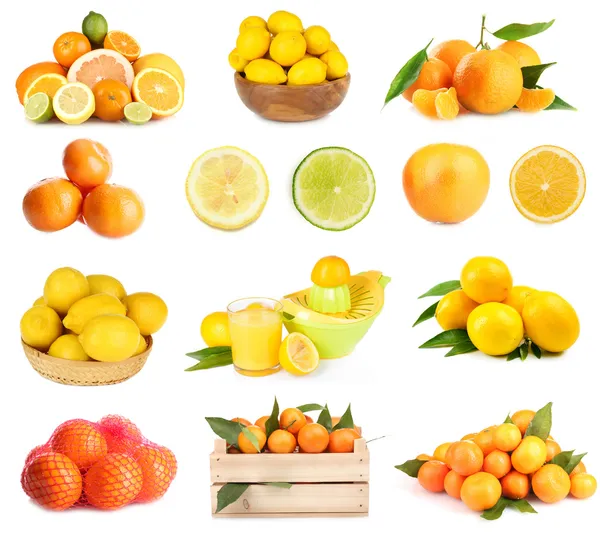 Kolaż owoców cytrusowych na białym tle — Zdjęcie stockowe
