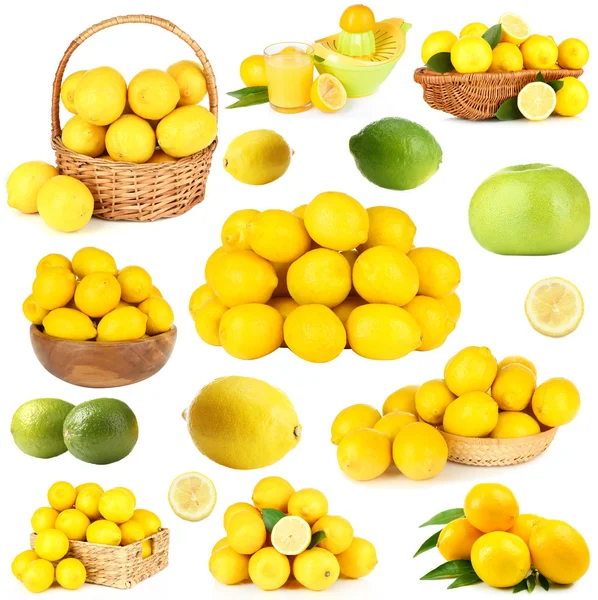 Collage von Zitronen isoliert auf weiß — Stockfoto