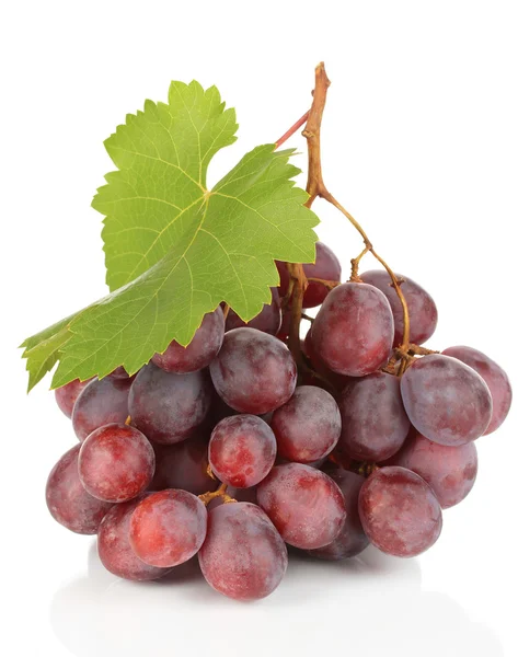 Ripe delicious grapes isolated on white — Stock Photo, Image