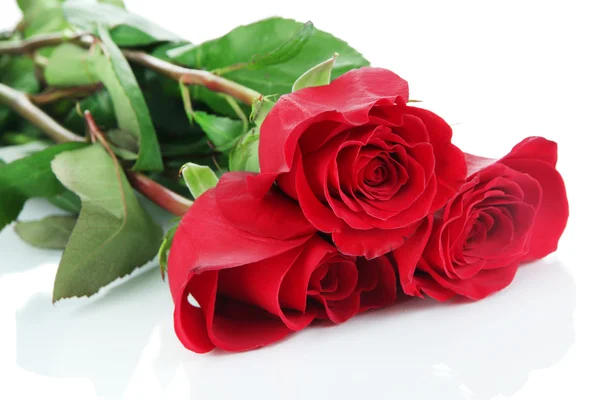 Beautiful red roses isolated on white — Stock Photo, Image