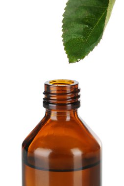 yaprak üzerine beyaz izole dan düşen damla