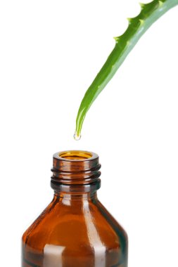 beyaz izole aloe üzerinden düşen damla
