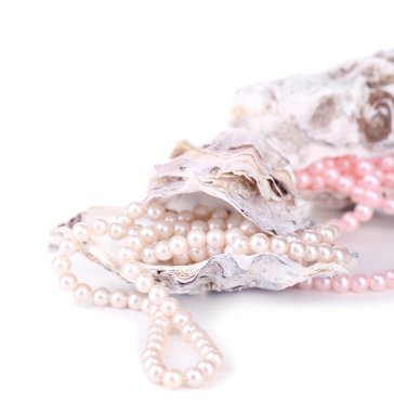 kabukları ile üzerine beyaz izole inciler