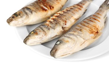 plaka üzerinde beyaz izole lezzetli ızgara balık