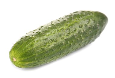 taze salatalık, üzerinde beyaz izole