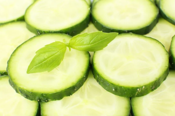 Slices of fresh cucumber with basil, close up — Stock Photo, Image