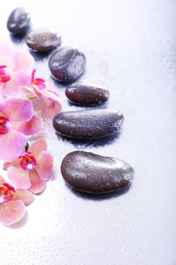 Su damlaları ve spa taşı, açık renkli güzel çiçek açan orkide ile kompozisyon