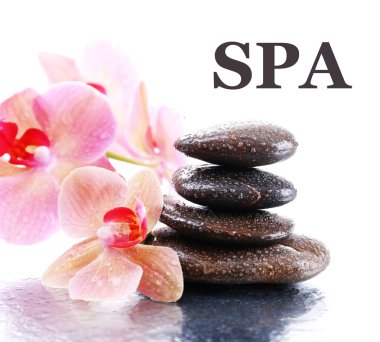 Su damlaları ve spa taşı, açık renkli güzel çiçek açan orkide ile kompozisyon