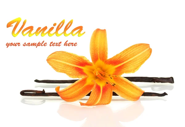 Cialde alla vaniglia con fiore isolato su bianco — Foto Stock