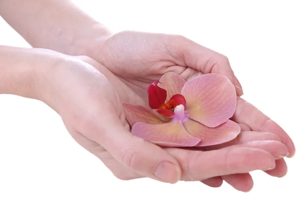 Hand with beautiful orchid flower isolated on white — Stock Photo, Image