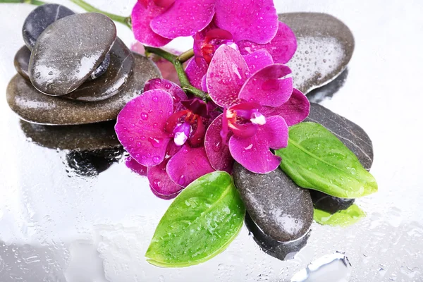 Composición con hermosa orquídea floreciente con gotas de agua y piedras de spa, sobre fondo de color claro —  Fotos de Stock