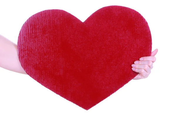 Vrouw knuffels kat白で隔離される大きな赤いハートを持っている手します。 — ストック写真