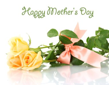 Beyaz üzerine izole edilmiş güzel güller.