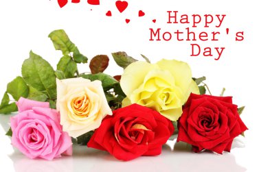 güzel renkli gül beyaz izole