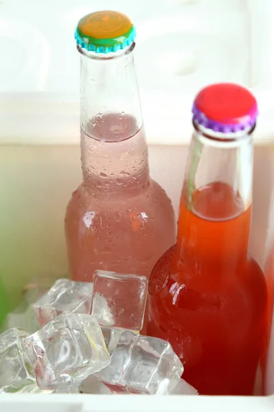 Bevande in bottiglie di vetro in mini frigo da vicino — Foto Stock