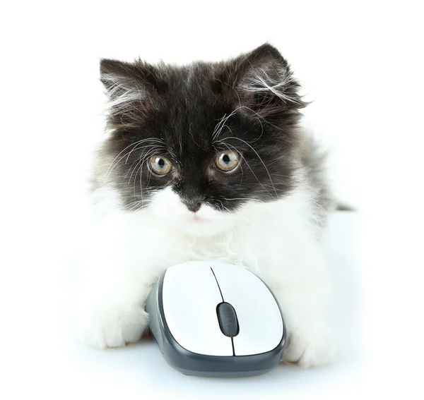 Pequeno gatinho bonito e mouse de computador, isolado em branco — Fotografia de Stock