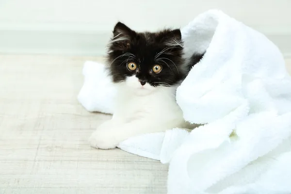 Roztomilé koťátko s ručníky na podlaze — Stock fotografie