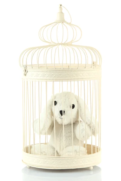 Toy rabbit in decorative cage, isolated on white — Stock Photo, Image