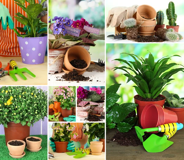 Collage of gardening closeup — Stock Photo, Image