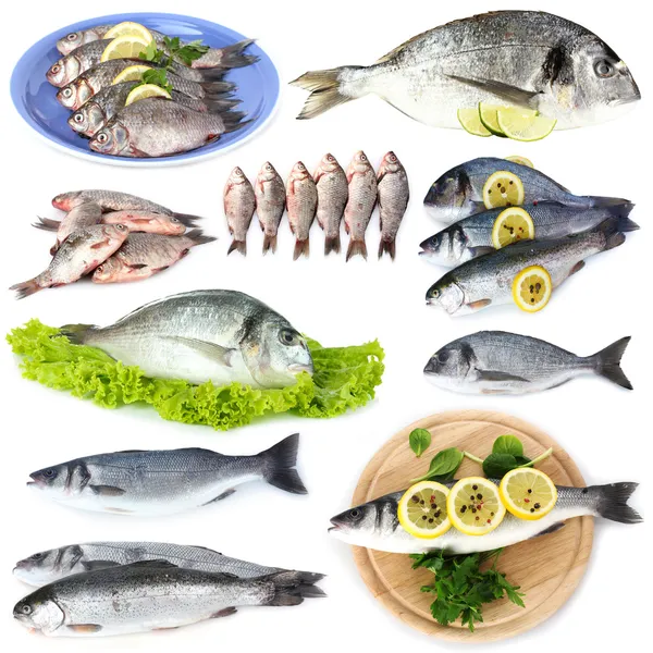 Fresh fish and fish dishes isolated on white — Stock Photo, Image