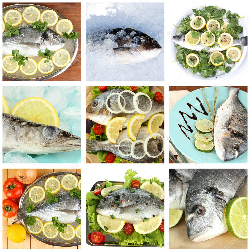 Fresh fish and fish dishes collage