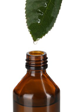 yaprak üzerine beyaz izole dan düşen damla