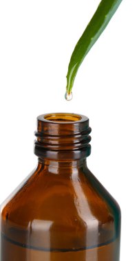beyaz izole aloe üzerinden düşen damla