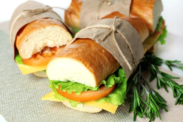 Sandwich frais et savoureux en gros plan — Photo