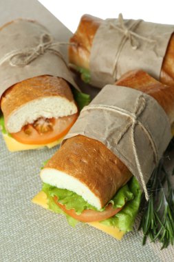 taze ve lezzetli sandviç yakın çekim