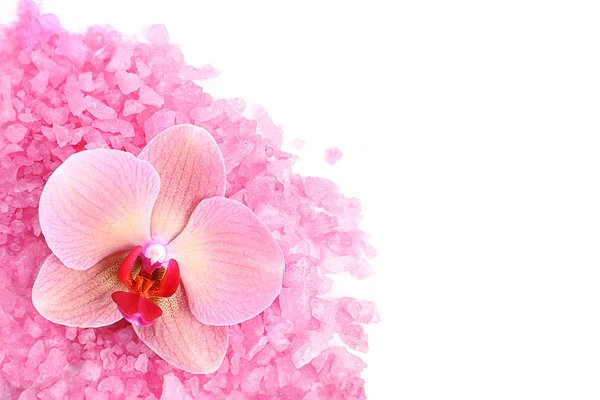 Beautiful blooming orchid flower and heap of sea salt, isolated on white — Stock Photo, Image