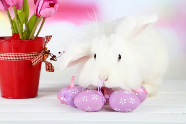 Beyaz sevimli tavşan ve Paskalya kompozisyon — Stok fotoğraf