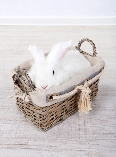 Bílý roztomilý králík v koši, zblízka — Stock fotografie