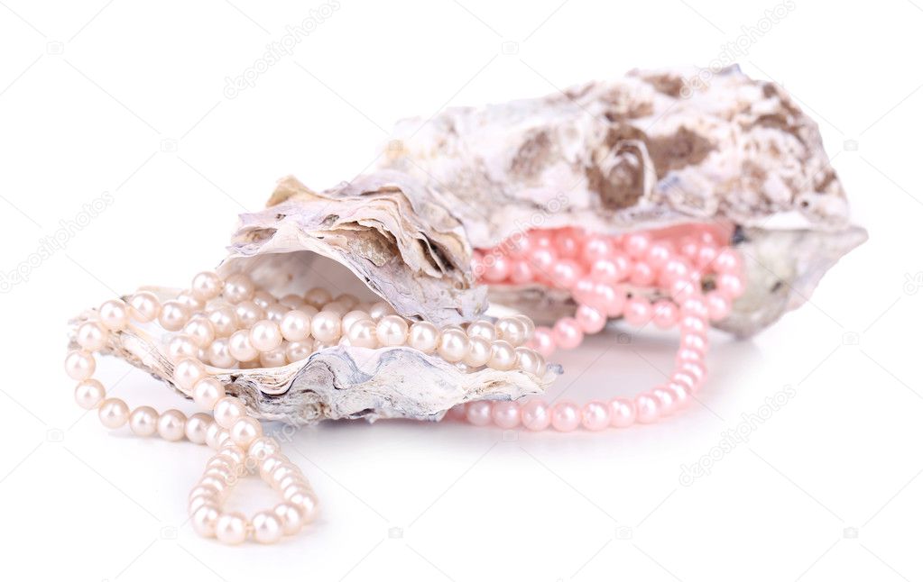 Shells with pearls, isolated on white