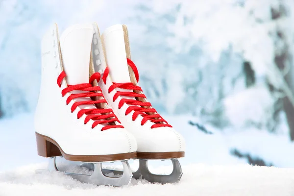 Figura patins no fundo do inverno — Fotografia de Stock