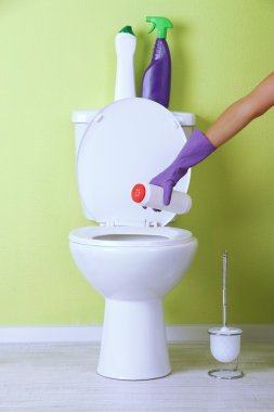 kadın el ile bir banyo klozet Temizleme sprey şişe