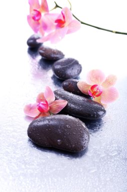 Su damlaları ve spa taşı, açık renkli güzel çiçek açan orkide ile kompozisyon