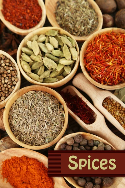 Many different spices and fragrant herbs close-up background — Stock Photo, Image