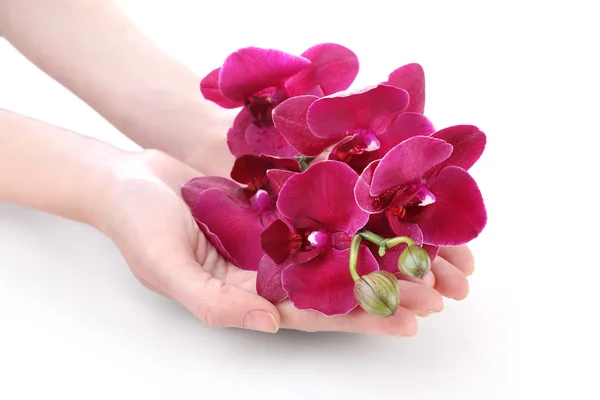Χέρι με πανέμορφο ανθισμένο orchid απομονωθεί σε λευκό — Φωτογραφία Αρχείου