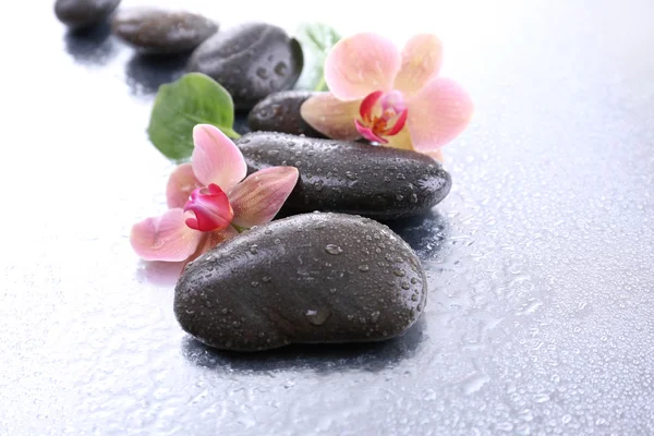 Samenstelling met prachtige bloeiende orchidee met waterdruppels en spa stenen, op lichte achtergrond — Stockfoto