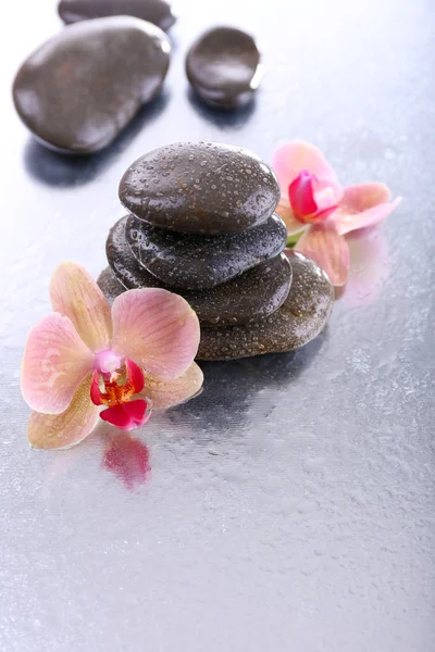 Composition with beautiful blooming orchid with water drops and spa stones, on light background — Stock Photo, Image