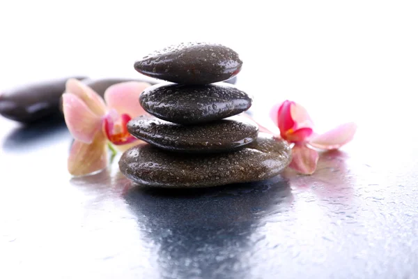 Composição com a orquídea florescendo bonita com gotas de água e pedras do spa, no fundo claro — Fotografia de Stock