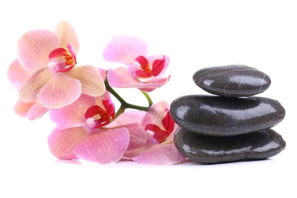 Složení s krásnou kvetoucí orchidej kapky vody a wellness kameny, izolované na bílém Stock Fotografie
