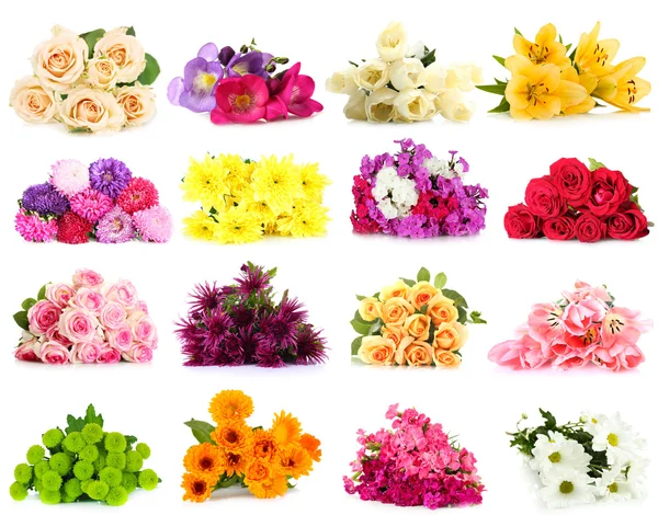 Blumensträuße isoliert auf weiß — Stockfoto