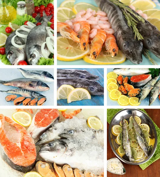 Fresh fish and fish dishes collage — Stock Photo, Image