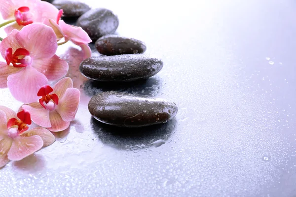 Su damlaları ve spa taşı, açık renkli güzel çiçek açan orkide ile kompozisyon